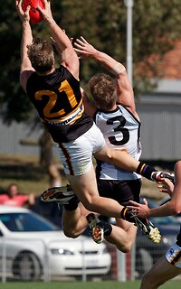 251530-tlsnewsportrait.jpg